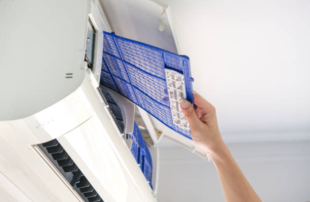 Best Professional Duct Cleaning Services  in Hidalgo, TX