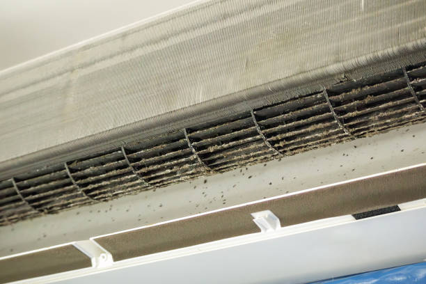 Best Best Air Duct Cleaning Company  in Hidalgo, TX