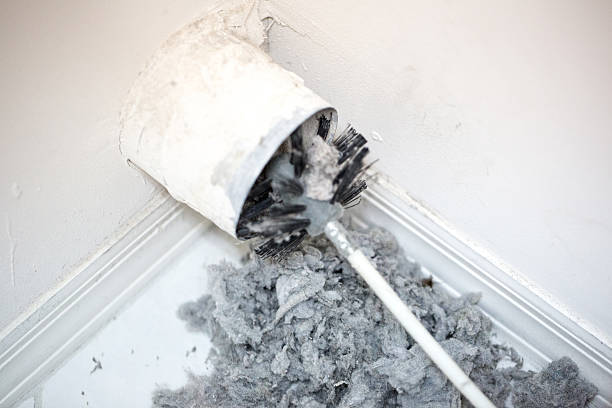 Best Ductwork Cleaning Services  in Hidalgo, TX